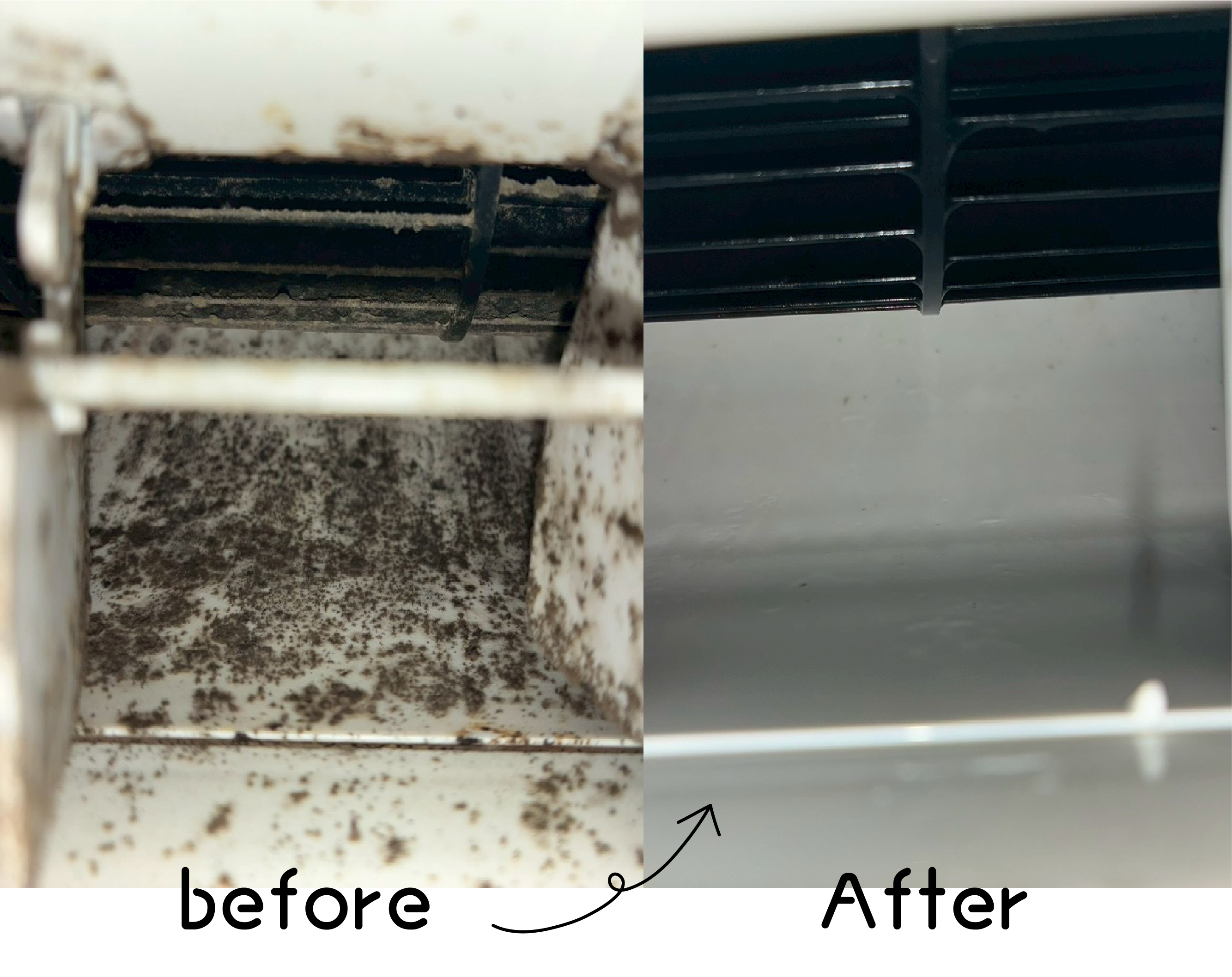 エアコン内部（カビ・ホコリ）